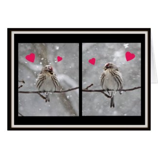 Redpolls Valentine Greeting Card