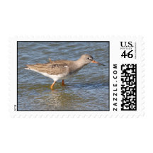 Redshank Postage Stamps