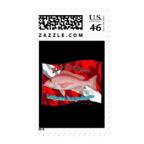 RedSnapper on Dive Flag postage