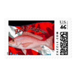 RedSnapper on Dive Flag Stamp