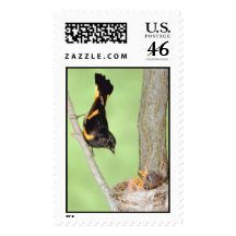 Redstart feeding offsping stamps