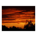 RedSunset Poster posters