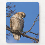 Redtail Mouse Guard Mouse Pad