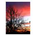RedTones Skies Print
