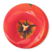 RedTulip magnets