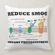 Reduce Smog Support Photosynthesis Pillow