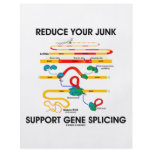 Reduce Your Junk Support Gene Splicing (RNA Humor) flyers