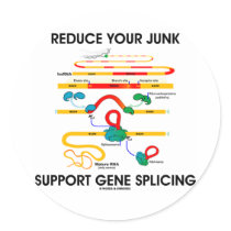 Reduce Your Junk Support Gene Splicing (RNA Humor) stickers by wordsunwords Reduce Your Junk Support Gene Splicing (RNA Humor) stickers