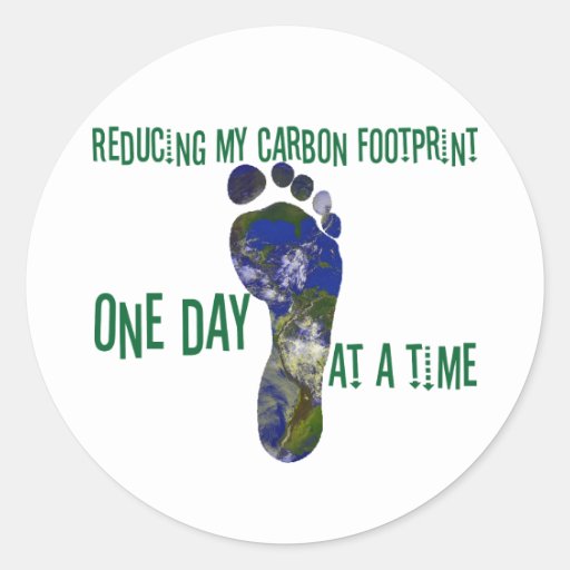 Essay #4: Carbon Footprint - Climate Change Course