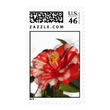 redwhitecam stamps