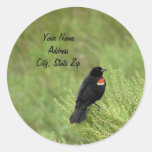 Redwing Blackbird Address Sticker