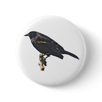 Redwing Blackbird Gift buttons