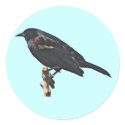 Redwing Blackbird Gift stickers