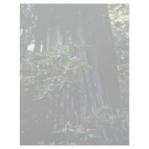 Redwood And Rhododendron, Prairie Creek flowers Personalized Letterhead