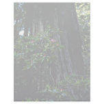 Redwood And Rhododendron, Prairie Creek flowers Personalized Letterhead