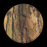 Redwood Bark Photo Texture magnets