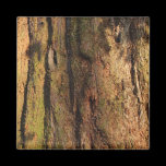 Redwood Bark Photo Texture magnets