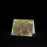 Redwood Forest Card