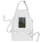 Redwood forest in fog, Oregon Aprons