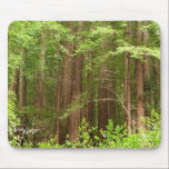 Redwood Forest Mousepad