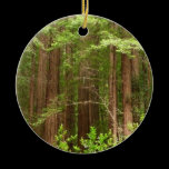 Redwood Forest Ornament