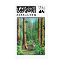 Redwood Forest postage