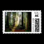 Redwood Morning stamps