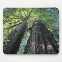 Redwood Mouse Pad mousepads by bworm105 Redwood Mouse Pad mousepads