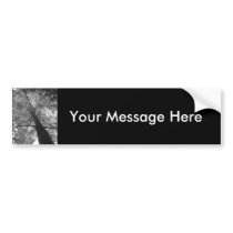 Redwood Tree Black and White bumper stickers by pussreboots Redwood Tree Black and White bumper stickers