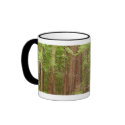 Redwood Trees Mug