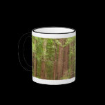 Redwood Trees Mug