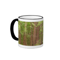 Redwood Trees Mug