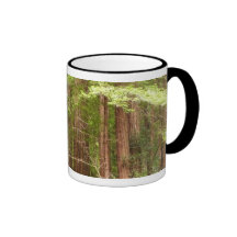 Redwood Trees Mug