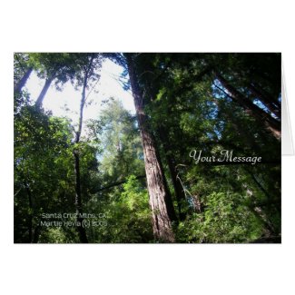 Redwoods - Card card