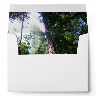 Redwoods - Envelope envelope