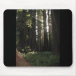 Redwoods Mouse Pad