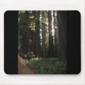 Redwoods mousepads