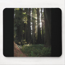 Redwoods mousepads