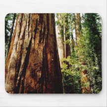 Redwoods- Yosemite Mouse Mats