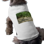 Reed Beach Dog Tee Shirt
