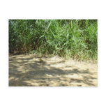Reed Beach Postcards