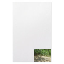 Reed Beach Stationery Design