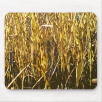 Reed mousepads