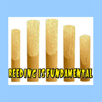 marching band t-shirt: Reeding Is Fundamental