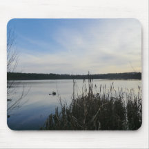 Reeds in Blakemere Moss in Delamere Forest Mouse Pads