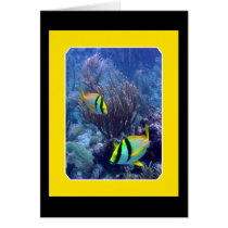 Reef - Ambergise Caye - Belize Greeting Card