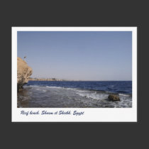 Reef beach, Sharm el Sheikh, Egypt postcards