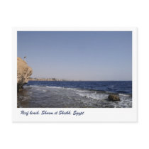 Reef beach, Sharm el Sheikh, Egypt Postcard