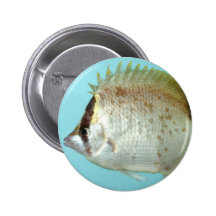 Reef Butterfly fish Buttons