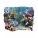 Reef Scape
